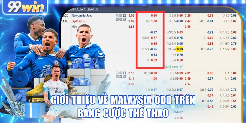 Giới thiệu về Malaysia odd trên bảng cược thể thao